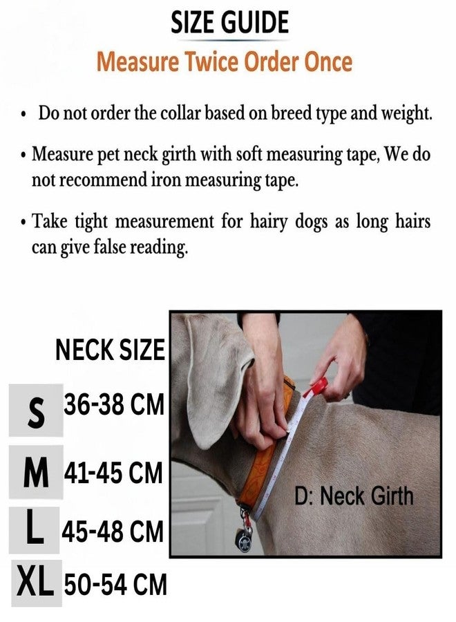 PET FUN Adjustable Reflective Pet Collar with Soft Padding | Durable Nylon Belt with Quick-Release Buckle & Leash D-Ring | for Small, Medium & Large Dogs, Cats & Puppies (Sky Blue, XL) - Image 3